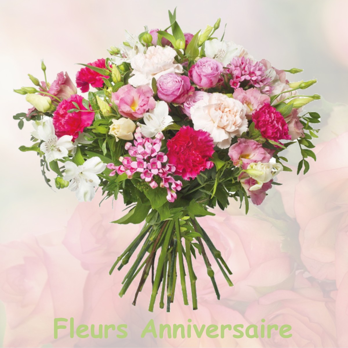 fleurs anniversaire VILLEVIEUX