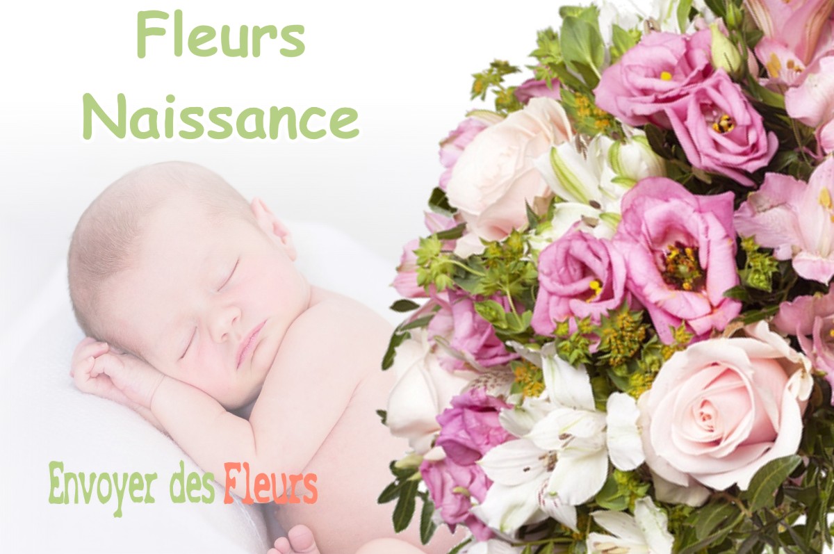 lIVRAISON FLEURS NAISSANCE à VILLEVIEUX