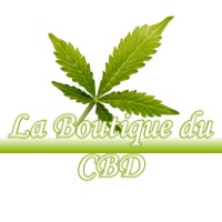 LA BOUTIQUE DU CBD VILLEVIEUX 